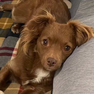 Meet your Posher, Kimberly